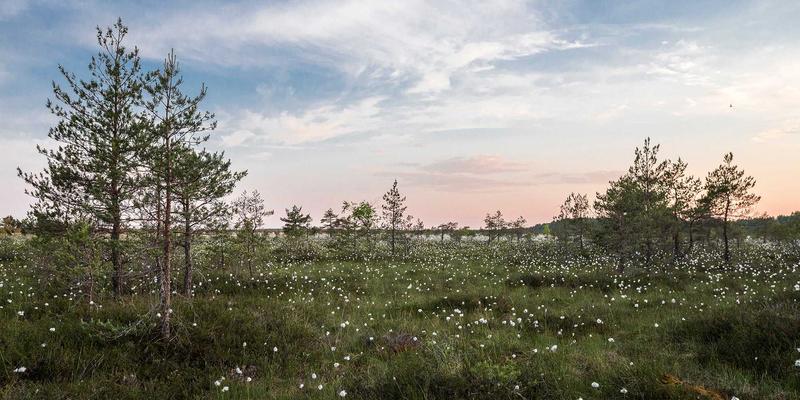 LEED认证项目如何选材？北京福伊森环保建材库为装修设计与施工达标提供关键支持