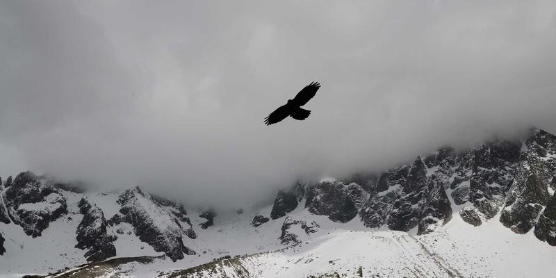 北京福伊森37：以环保建材重塑室内装修新标准