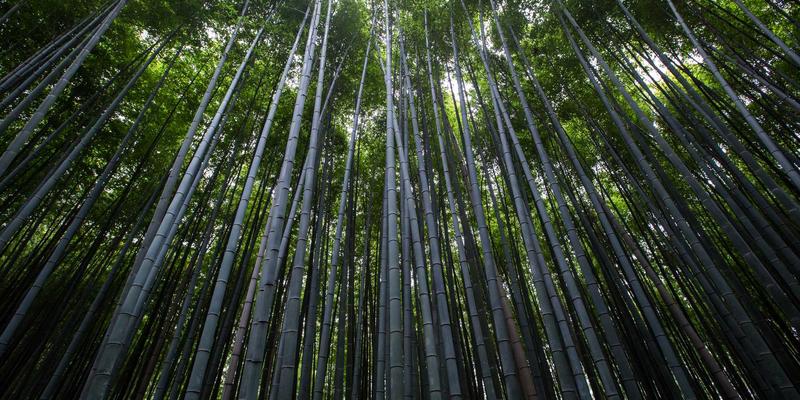 北京福伊森46：专业装修设计如何重塑室内空间美学