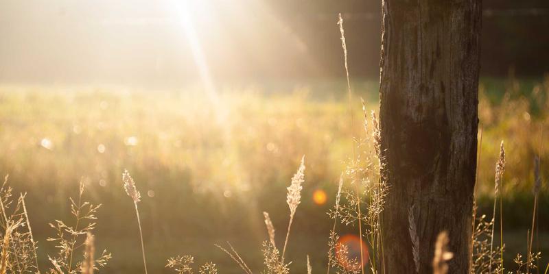 北京福伊森：以环保建材与专业装修设计，打造长租公寓的耐用未来