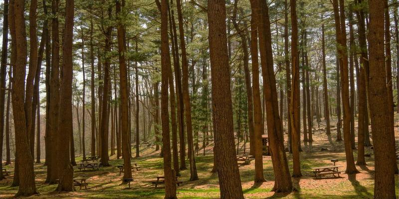 北京福伊森：以环保建材与精准碳核算，引领碳中和装修设计新实践