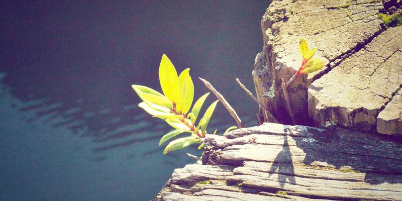 北京福伊森如何通过系统化培训与认证，确保德系工艺在建筑装饰中完美落地