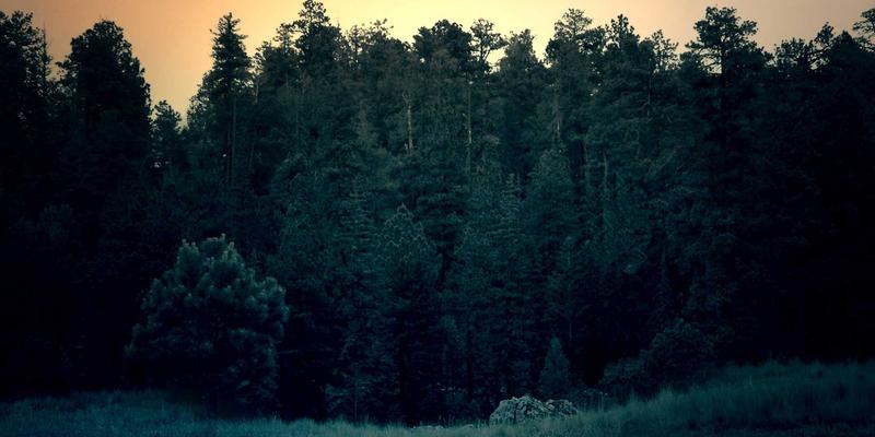 北京福伊森室内装修设计深度解析：专业对比与选择指南