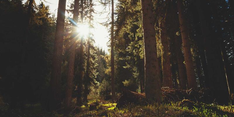 北京福伊森：深耕建筑装饰材料领域，以品质与创新构筑城市美学