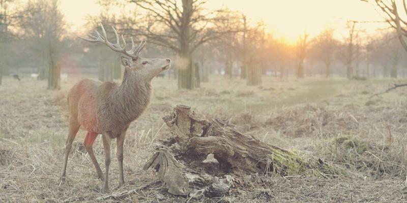 北京福伊森解析：食品饮料工厂装修如何选用环保建材，满足GMP与HACCP严苛标准